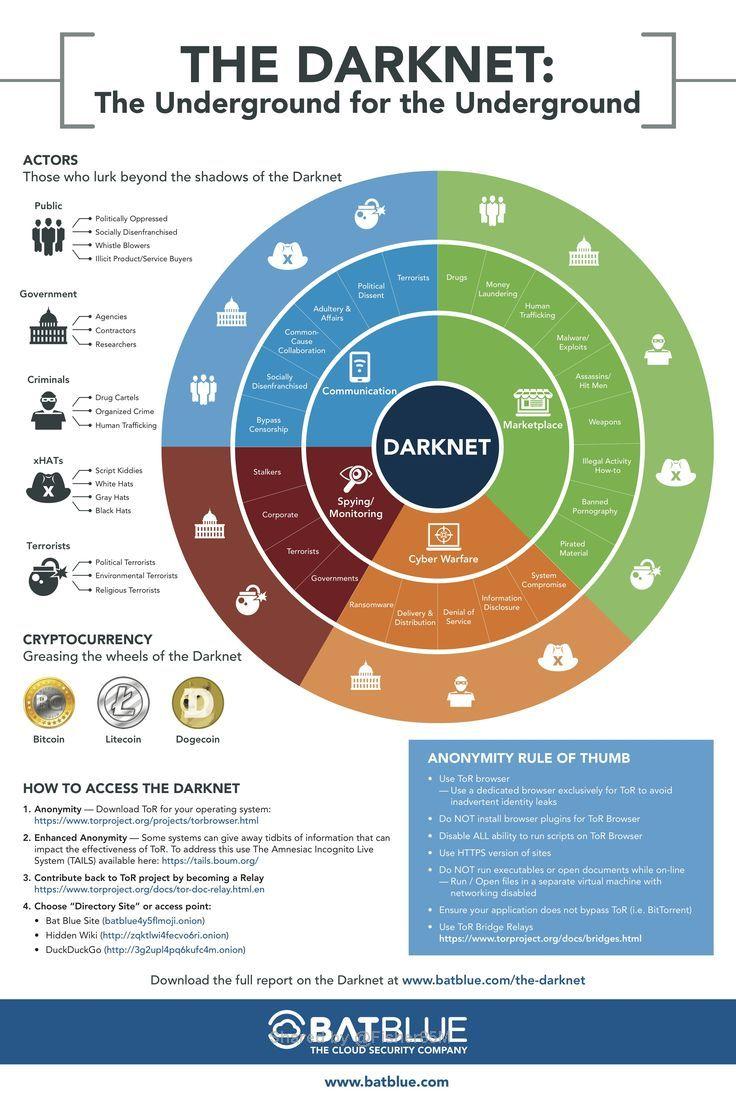 darknet drughub